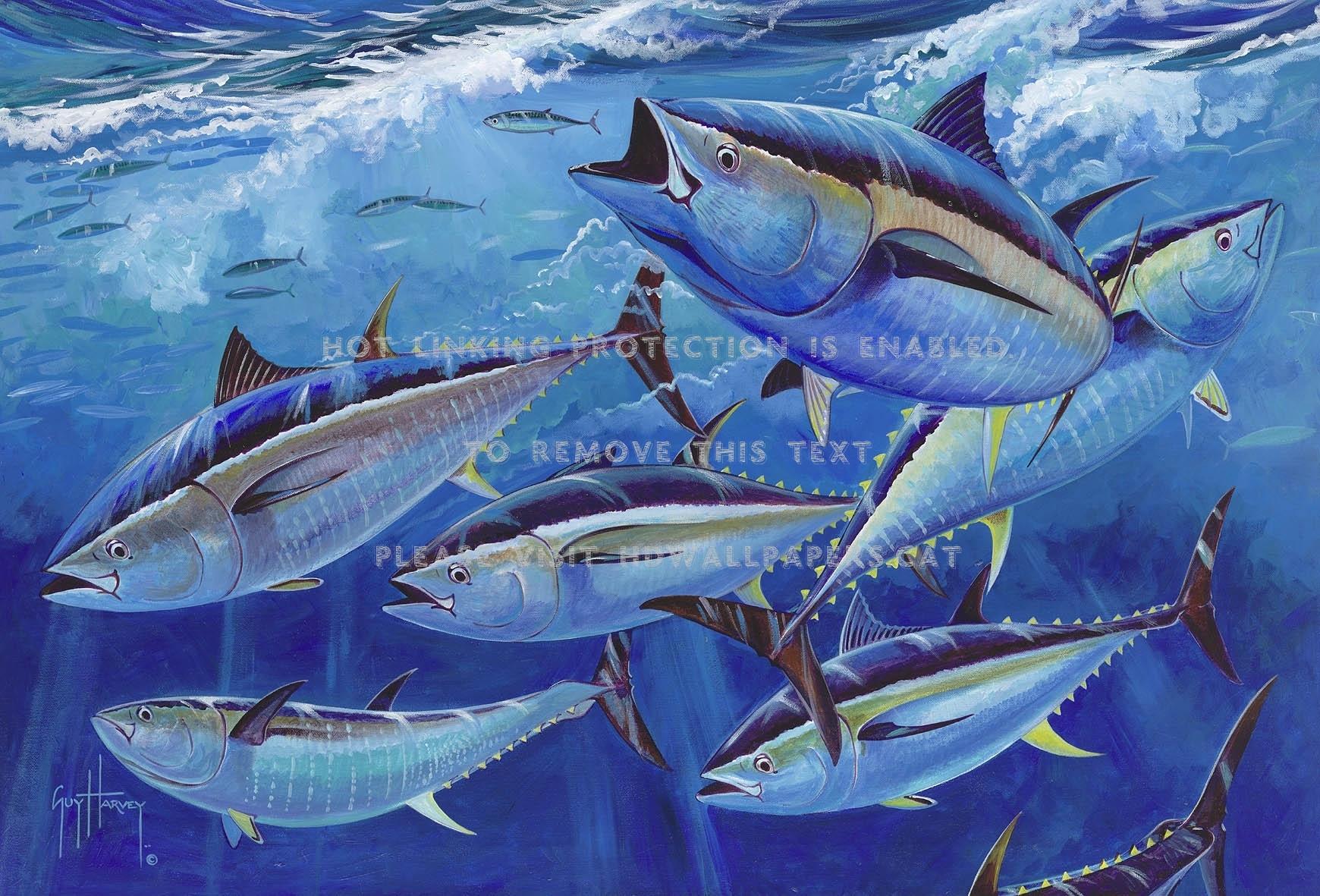 1740x1181 school of tuna giant big eye blue fin epic