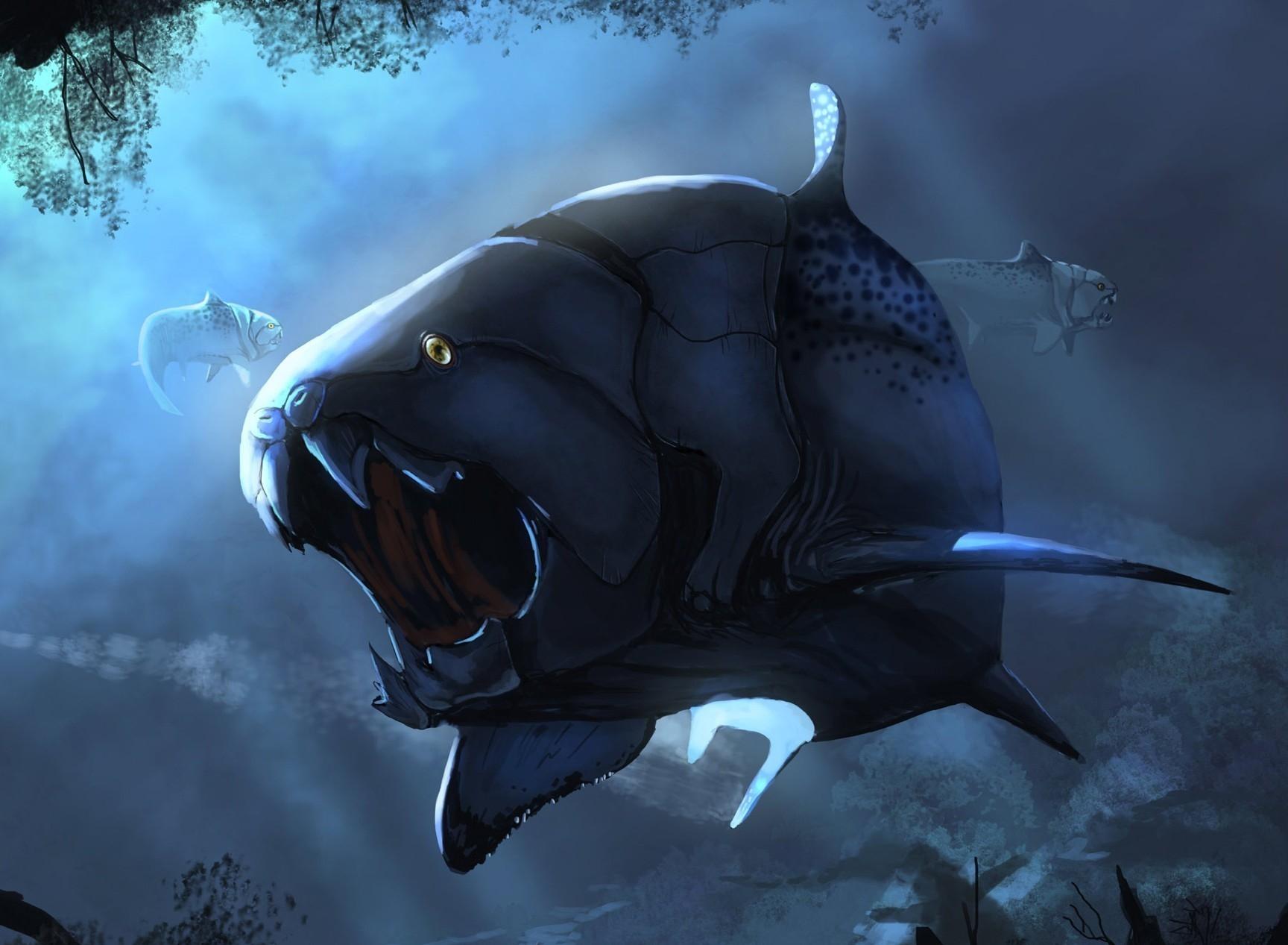 1728x1267 fish fantasy art creatures 1728x1267 wallpaper High Quality Wallpaper, High Definition Wallpaper