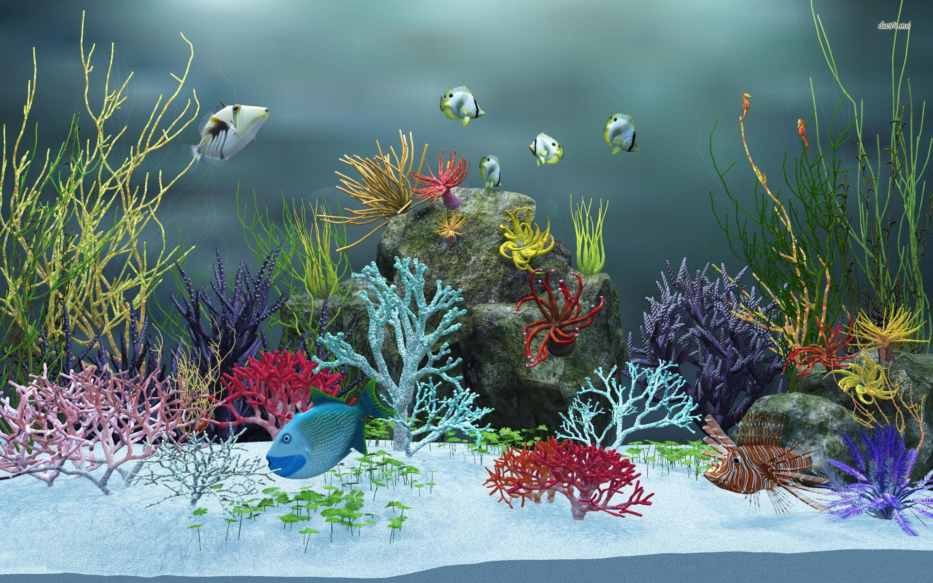 1920x1200 Aquarium Wallpaper Digital Art Wallpaper 12964 Tank HD Wallpaper