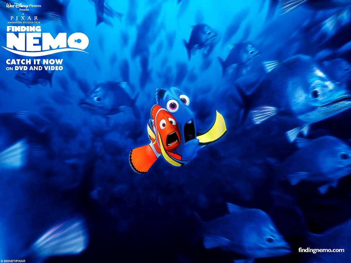 1200x900 Wallpaper Finding Nemo, Reef, Aquarium. Best Free Download background