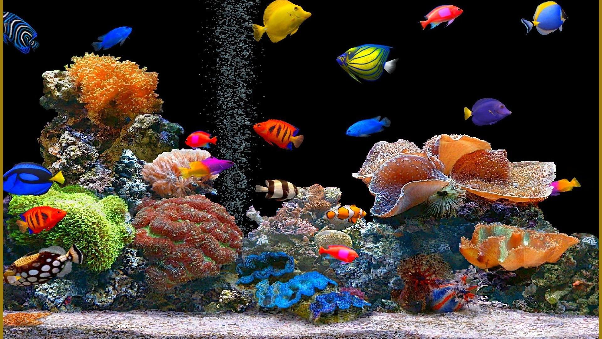 1920x1080 Nature wallpaper, Black, Darkolivegreen, Cadetblue. Wallpaper free HD downloads. iPhone, iPad, android wallpaper for free