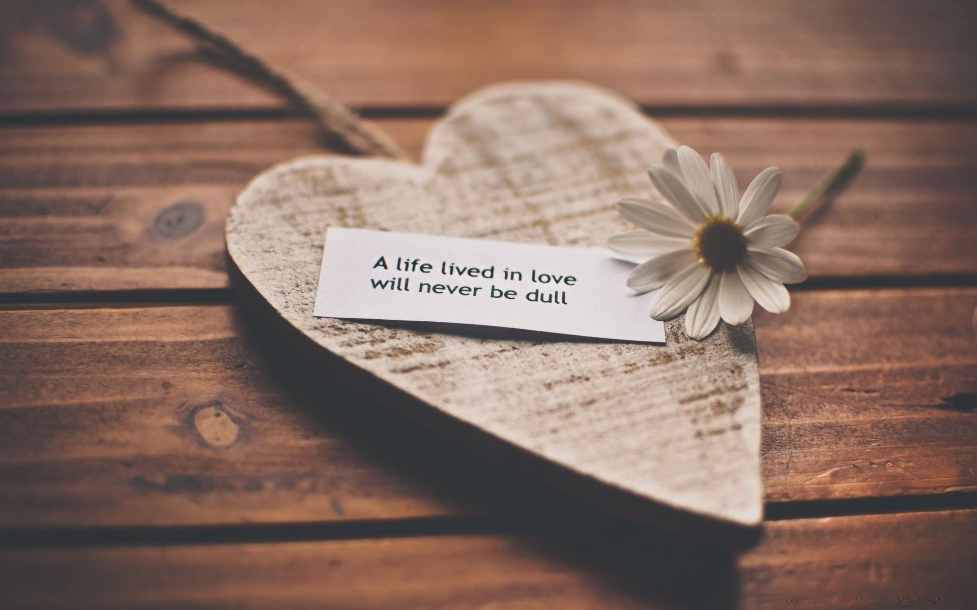 1920x1200 A Life Lived In Love Will Never Be Dull