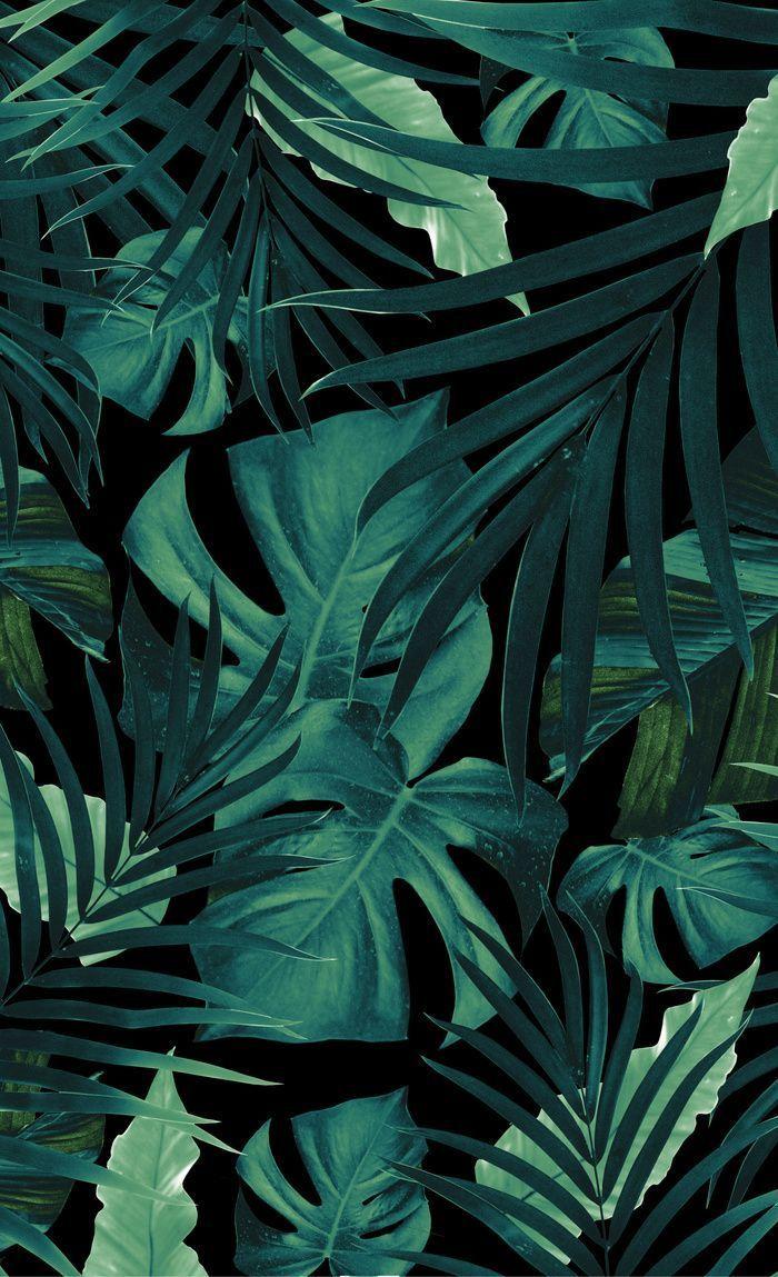 700x1149 Tropical Jungle Night Leaves Pattern #tropical #decor #art #society6 Window Curtains #junglepatt. Leaves wallpaper iphone, Jungle wallpaper, Tropical wallpaper
