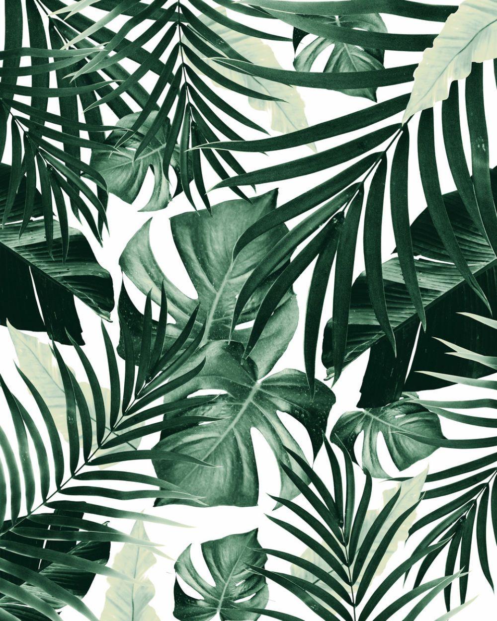1000x1250 Tropical Jungle Leaves Pattern #tropical #decor #art Phone Case by AnitaBellaArt from $20.00. miPic. Leaves wallpaper iphone, Plant wallpaper, Leaf wallpaper