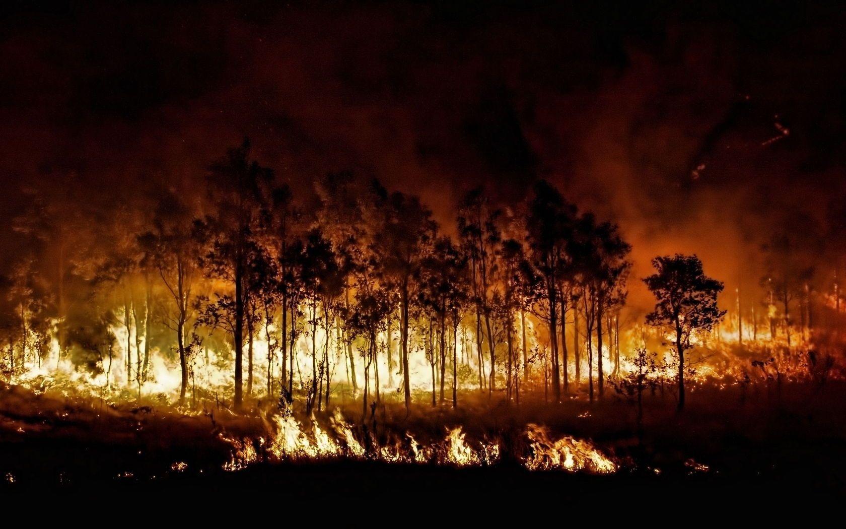 1680x1050 Wildfires Wallpaper