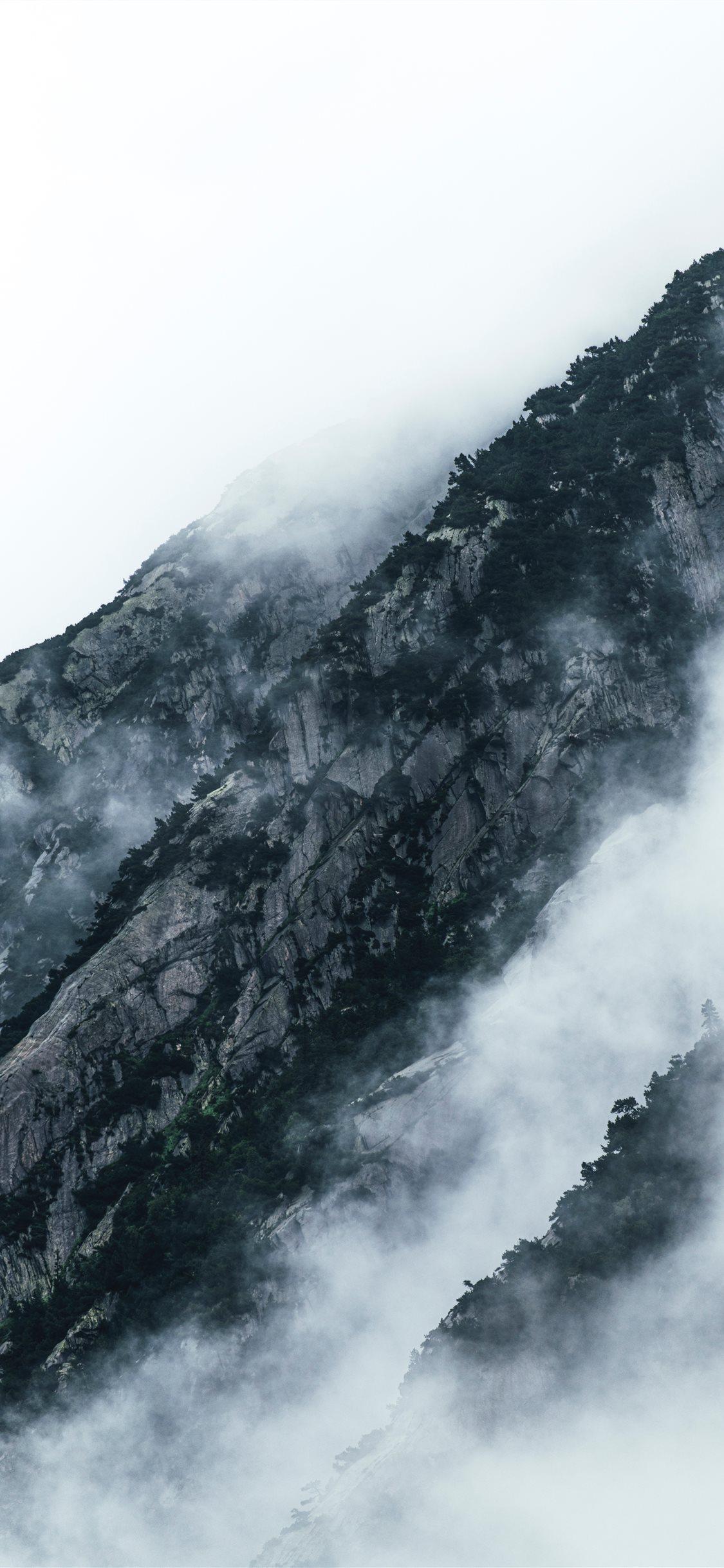 1125x2436 grayscale photo of mountain iPhone X Wallpaper Free Download