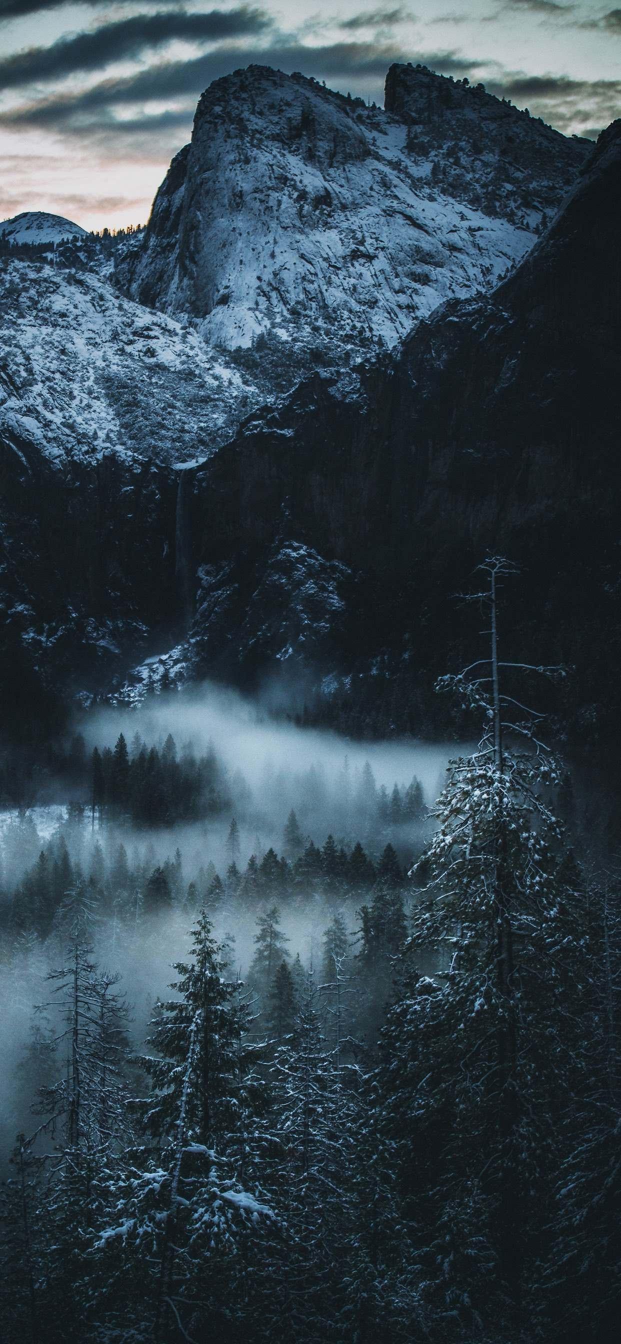 1242x2688 Wallpaper for the XR. Most of them are from Vellum: iPhoneXR