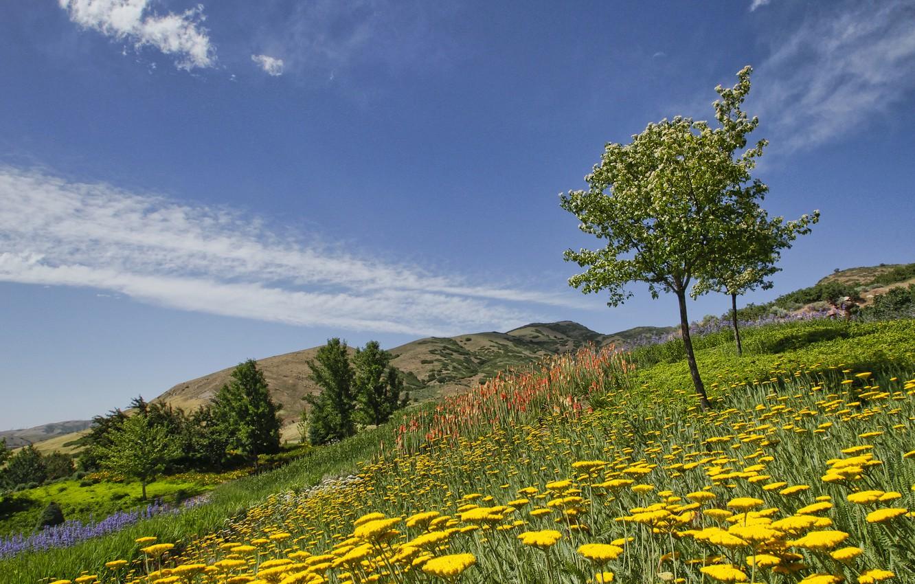 1332x850 Wallpaper trees, flowers, Utah, Utah, Botanical garden, Red Butte Garden, Salt Lake City image for desktop, section пейзажи
