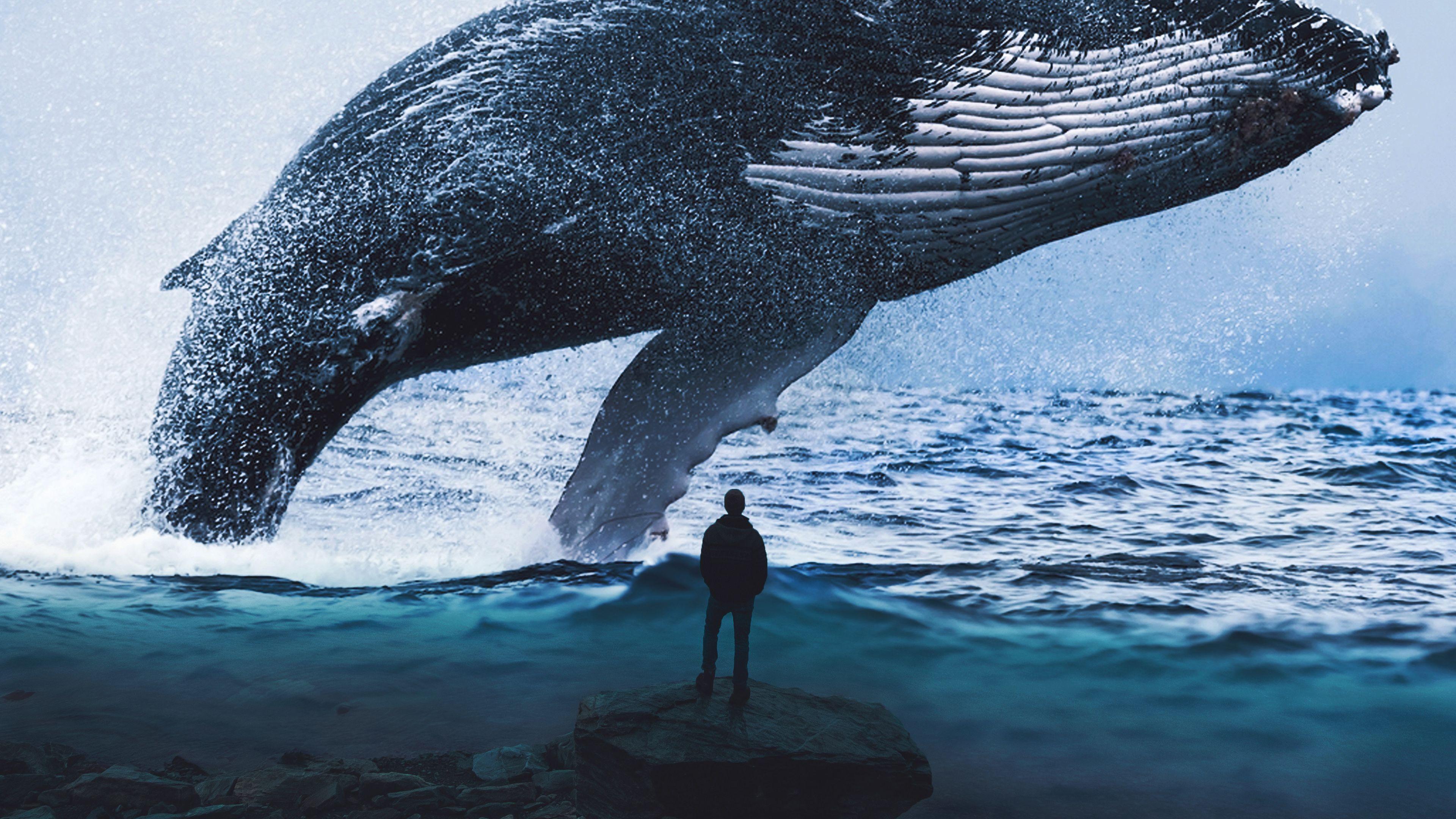 3840x2160 Whale 4k Wallpaper