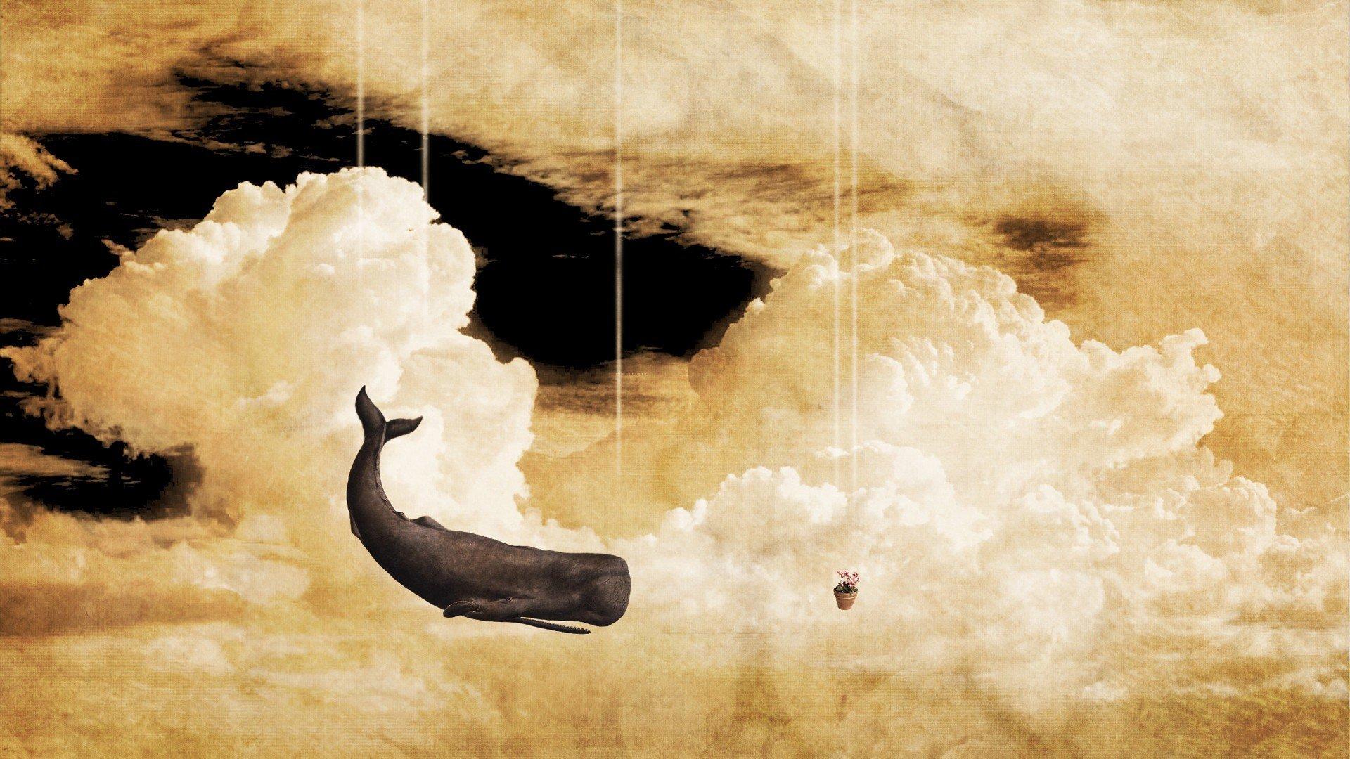 1920x1080 whale, Clouds, Petunias, The Hitchhiker&039;s Guide to the Galaxy HD Wallpaper / Desktop and Mobile Image & Photo