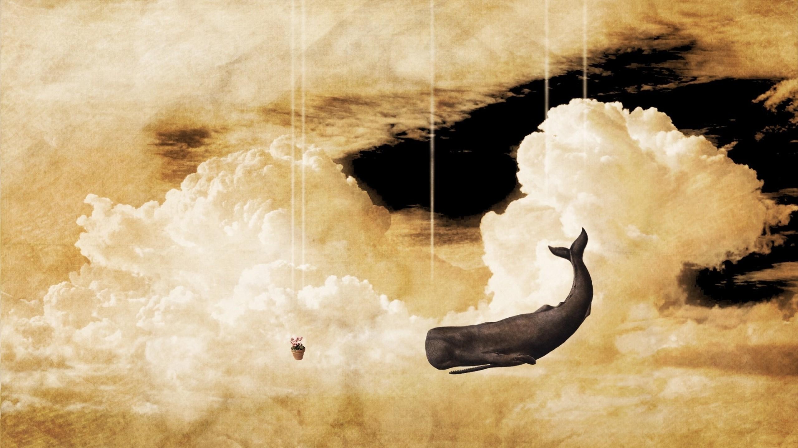 2560x1440 sky, Whale, Clouds, Imagination, The Hitchhikers Guide To The Galaxy Wallpaper HD / Desktop and Mobile Background