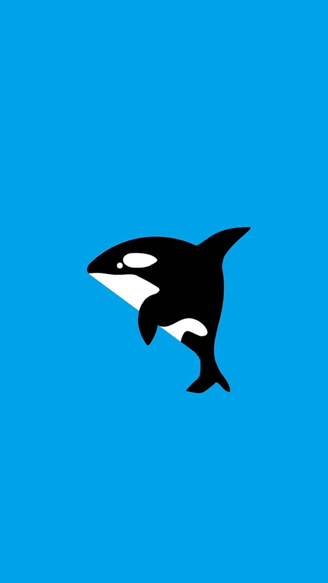 1080x1920 Miami Dolphins iPhone 6