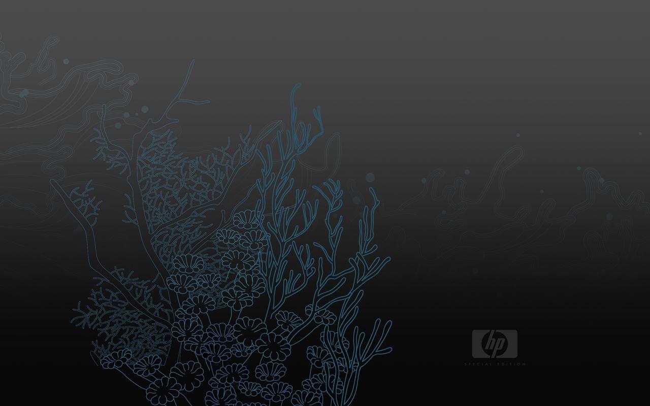 1280x800 HP Special Edition Wallpaper