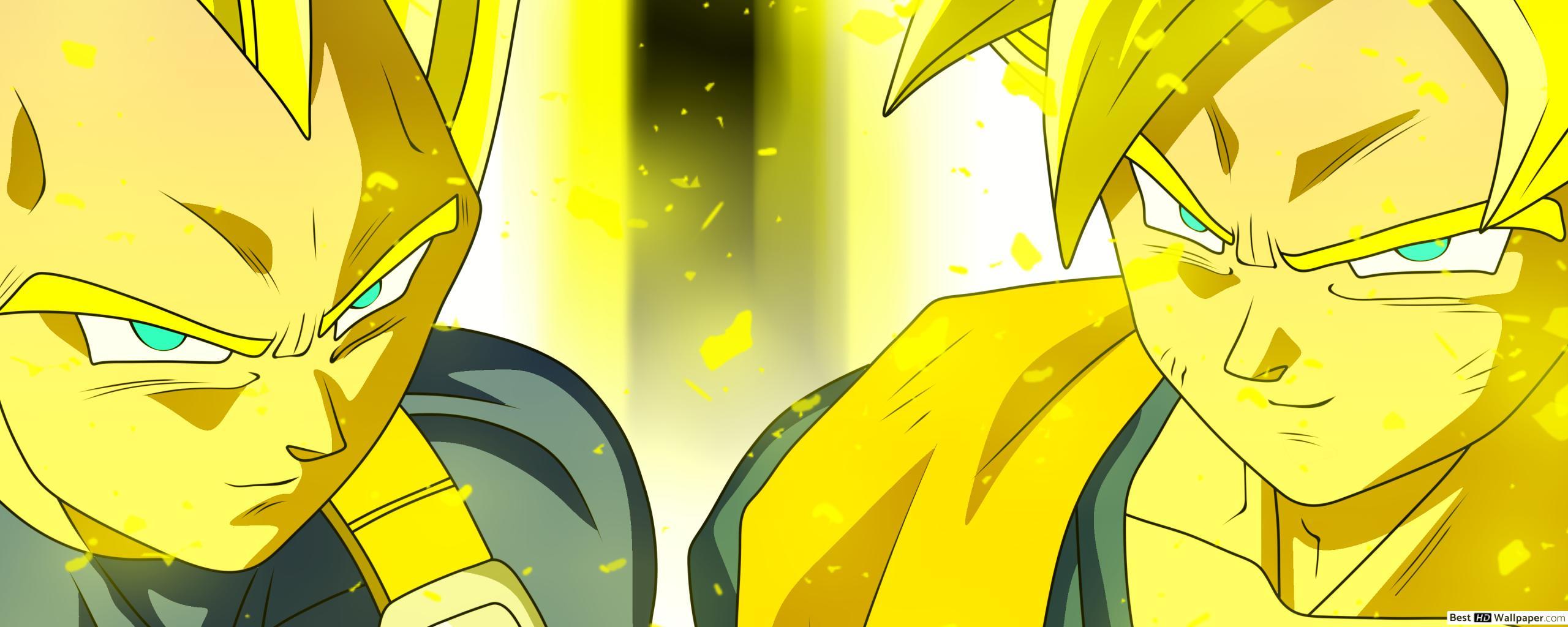 2560x1024 Goku and Vegeta HD wallpaper download