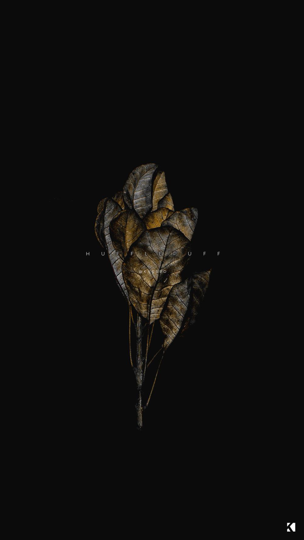1000x1778 Wallpaper No. 419 Houses + Dark Dead Botanicals