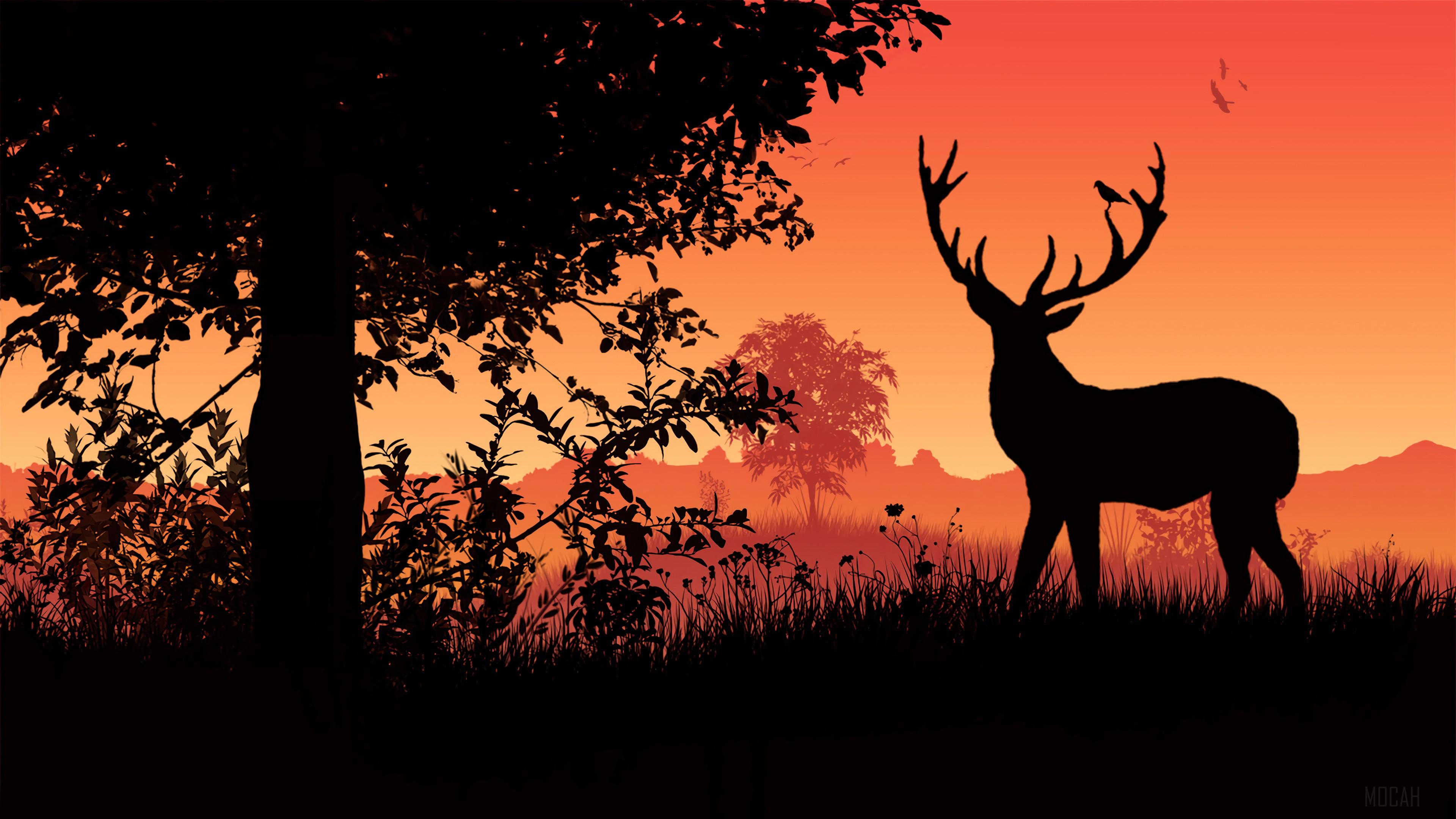 Minimalist Deer Wallpapers - Top Free Minimalist Deer Backgrounds