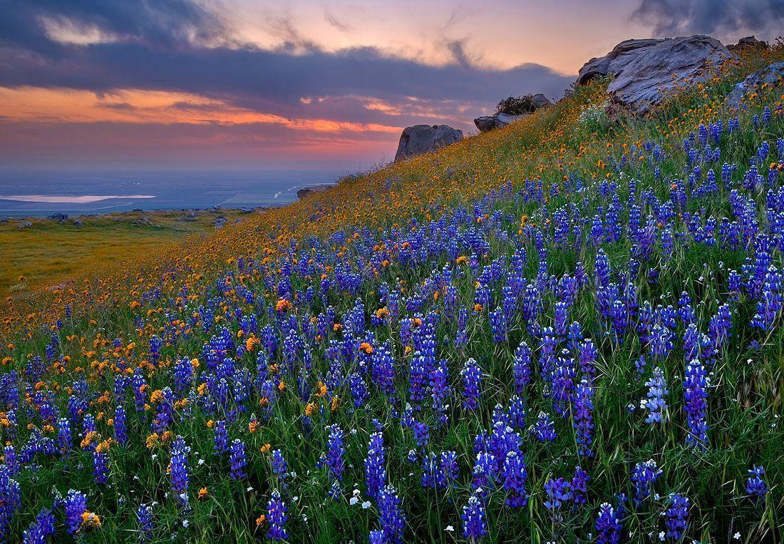 1100x763 Texas Hill Country Wallpaper