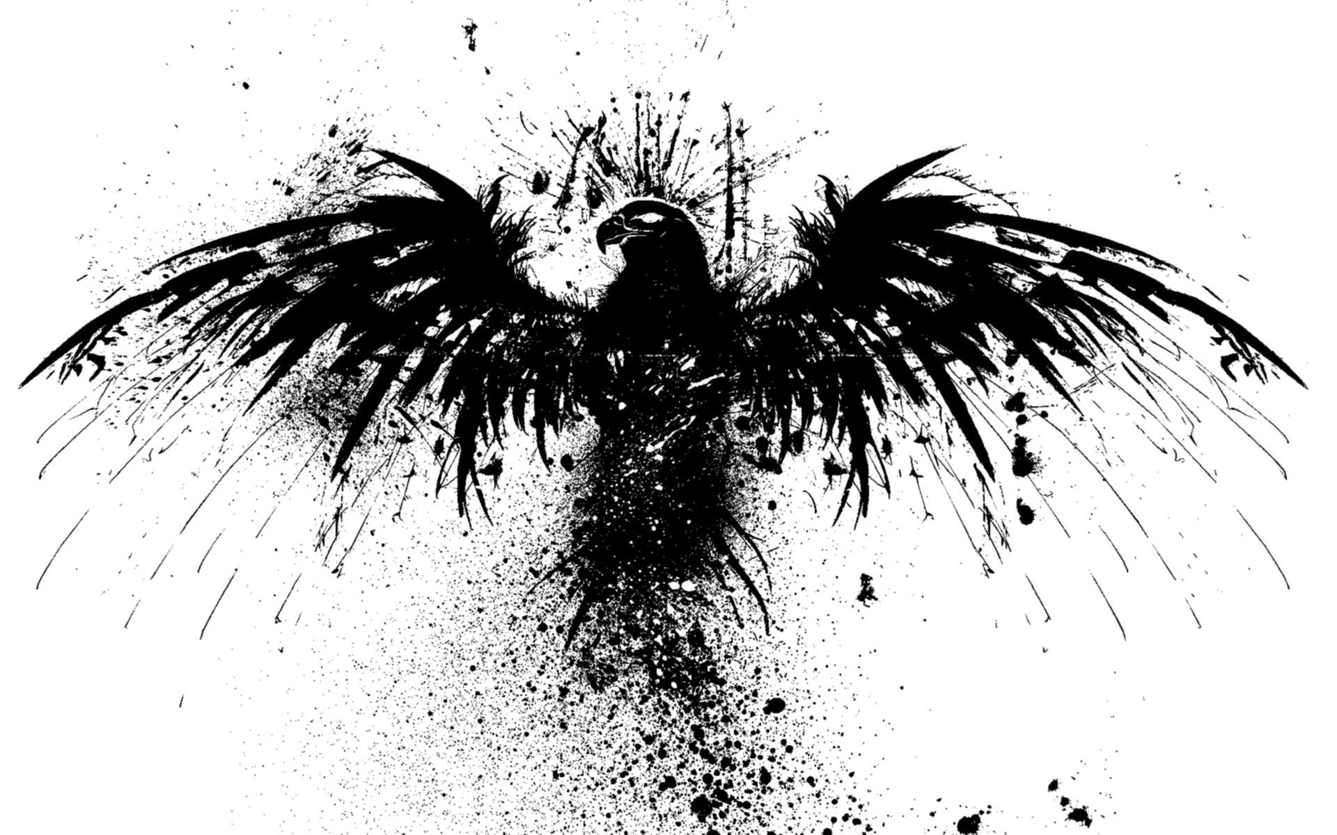 1920x1200 Black and White Bird Wallpaper