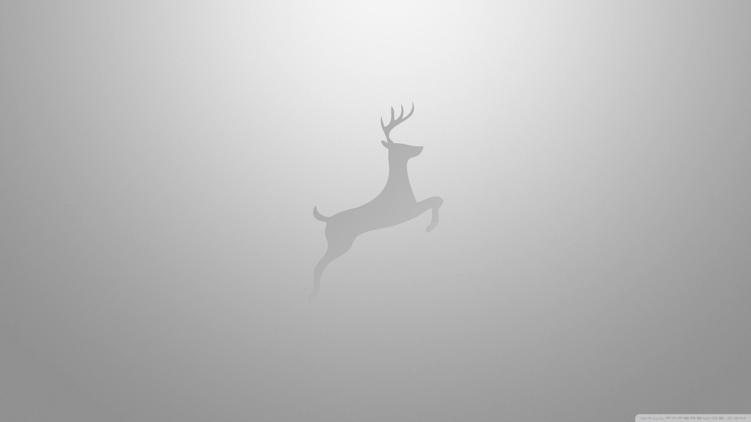 2560x1440 Minimalist Art Light Gray Ultra HD Desktop Background Wallpaper for