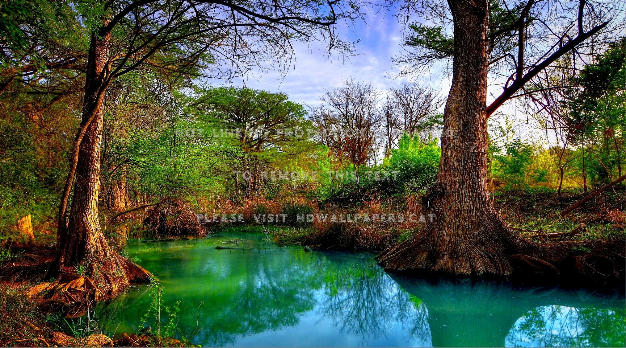 2027x1129 forest creek texas hill country ogawa usa