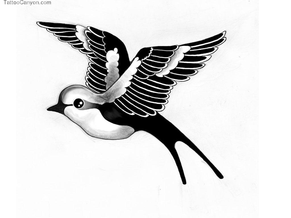 1024x768 Black And White Bird Wallpaper