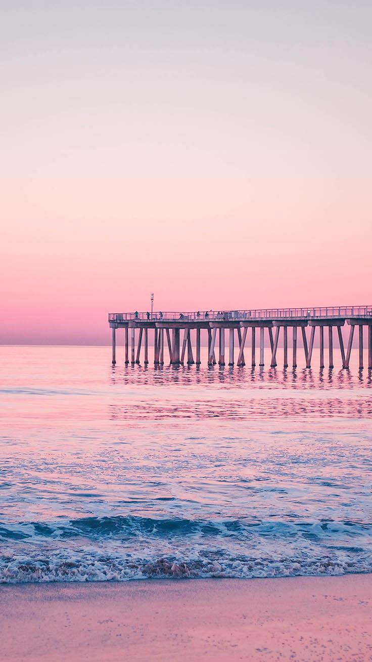 736x1308 Free Beautiful Summer Wallpaper For iPhone