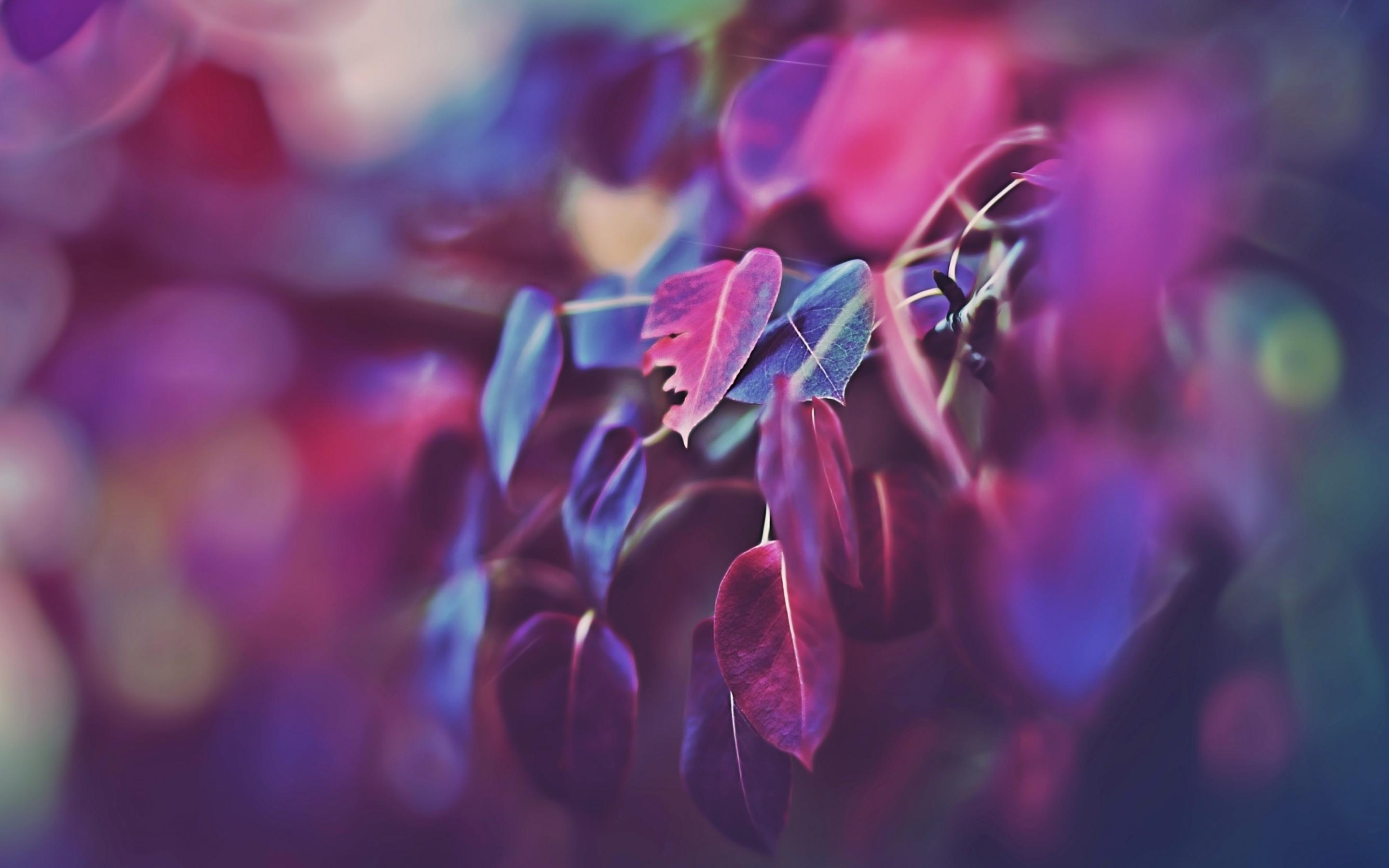 2880x1800 Beautiful Macbook Pro Wallpaper