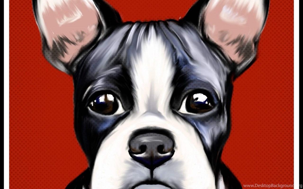 Boston Terrier Christmas Wallpapers - Top Free Boston Terrier Christmas