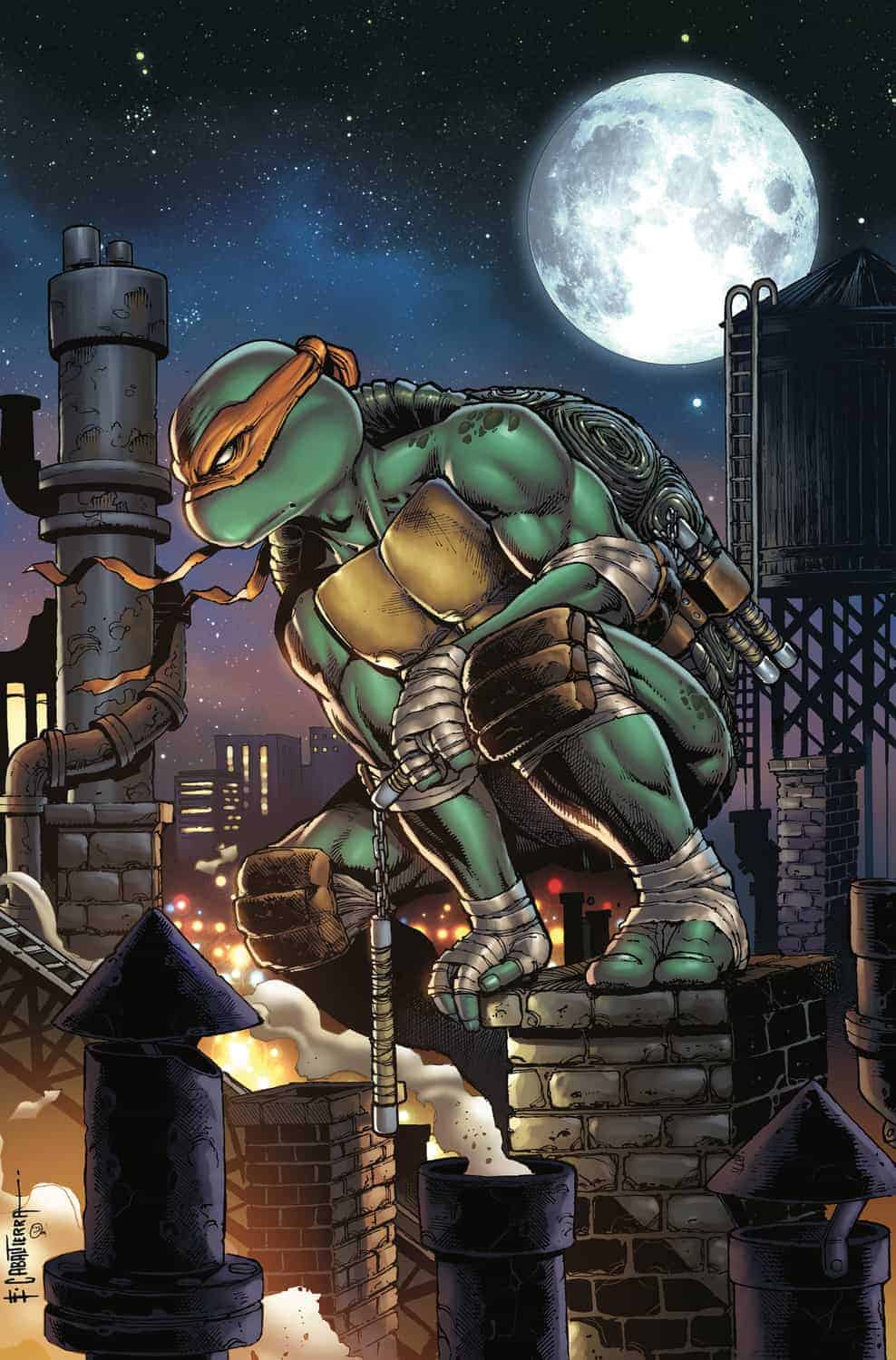 988x1500 Michelangelo (IDW)