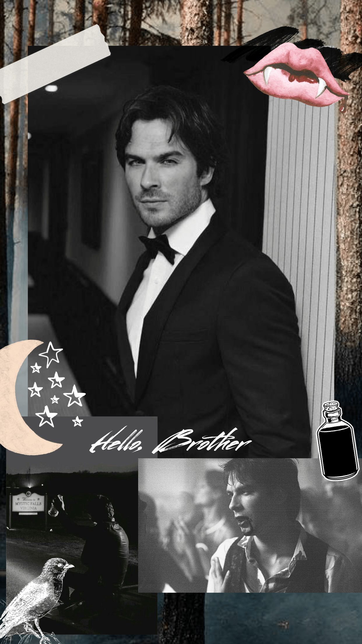 1242x2208 Damon Salvatore Aesthetic Wallpaper. Vampire diaries damon, Damon salvatore vampire diaries, Vampire diaries wallpaper