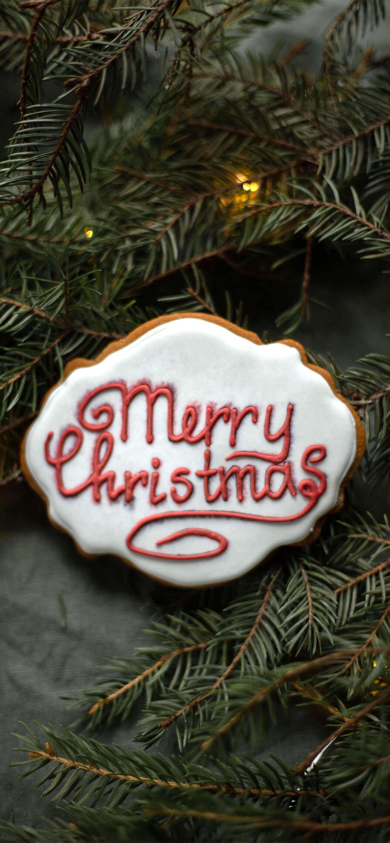 1284x2778 Beautiful iPhone 12 Pro Max Christmas Wallpaper & Background 2020