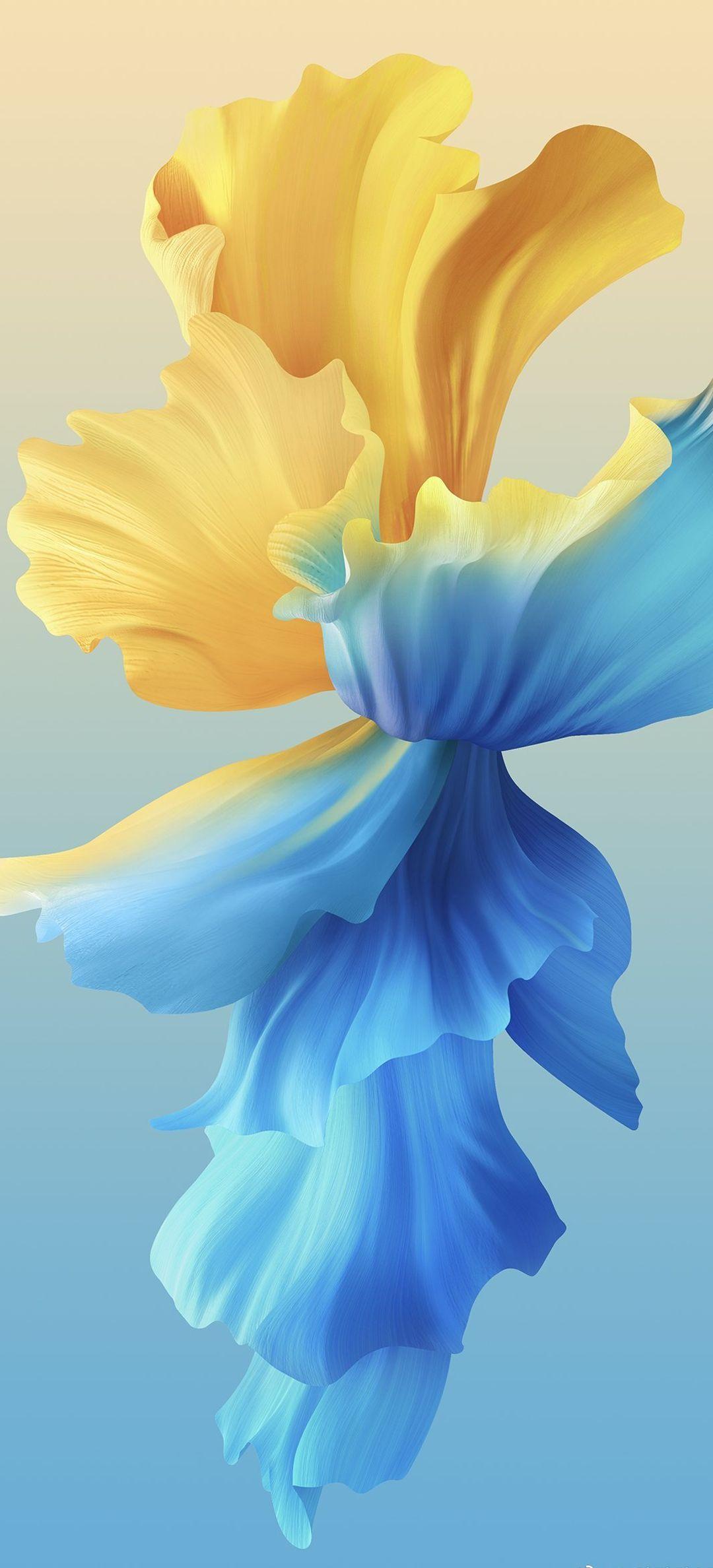 1080x2376 Vivo X60 Pro Stock Wallpaper [1080x2376]