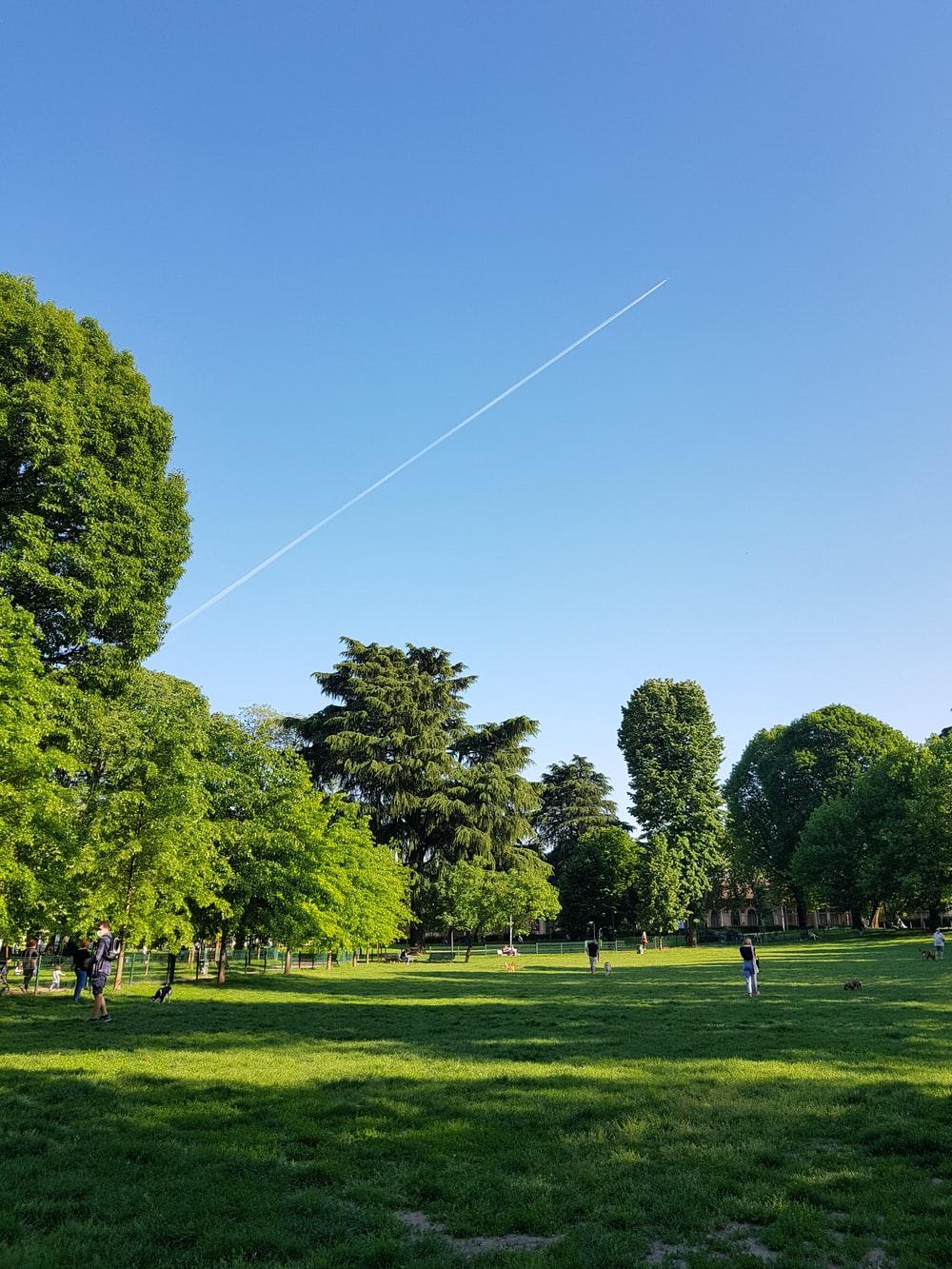 1000x1333 London Park Picture. Download Free Image