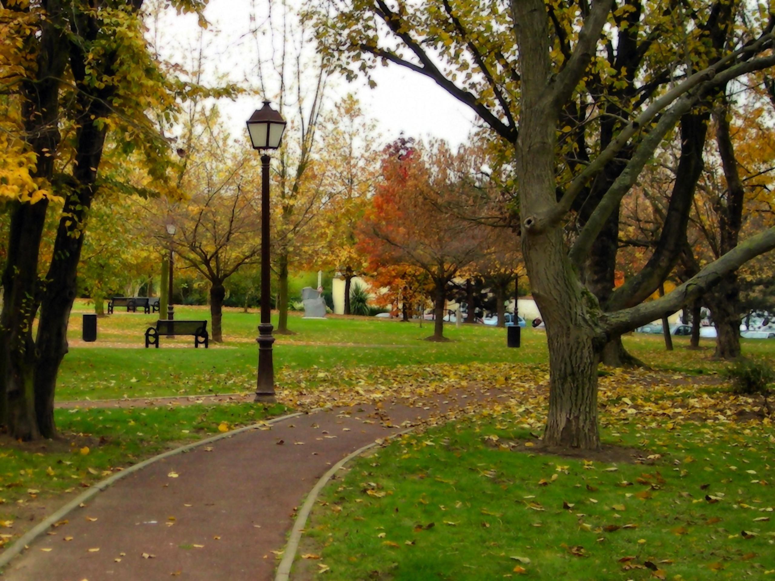 2560x1920 Park Picture wallpaperx1920