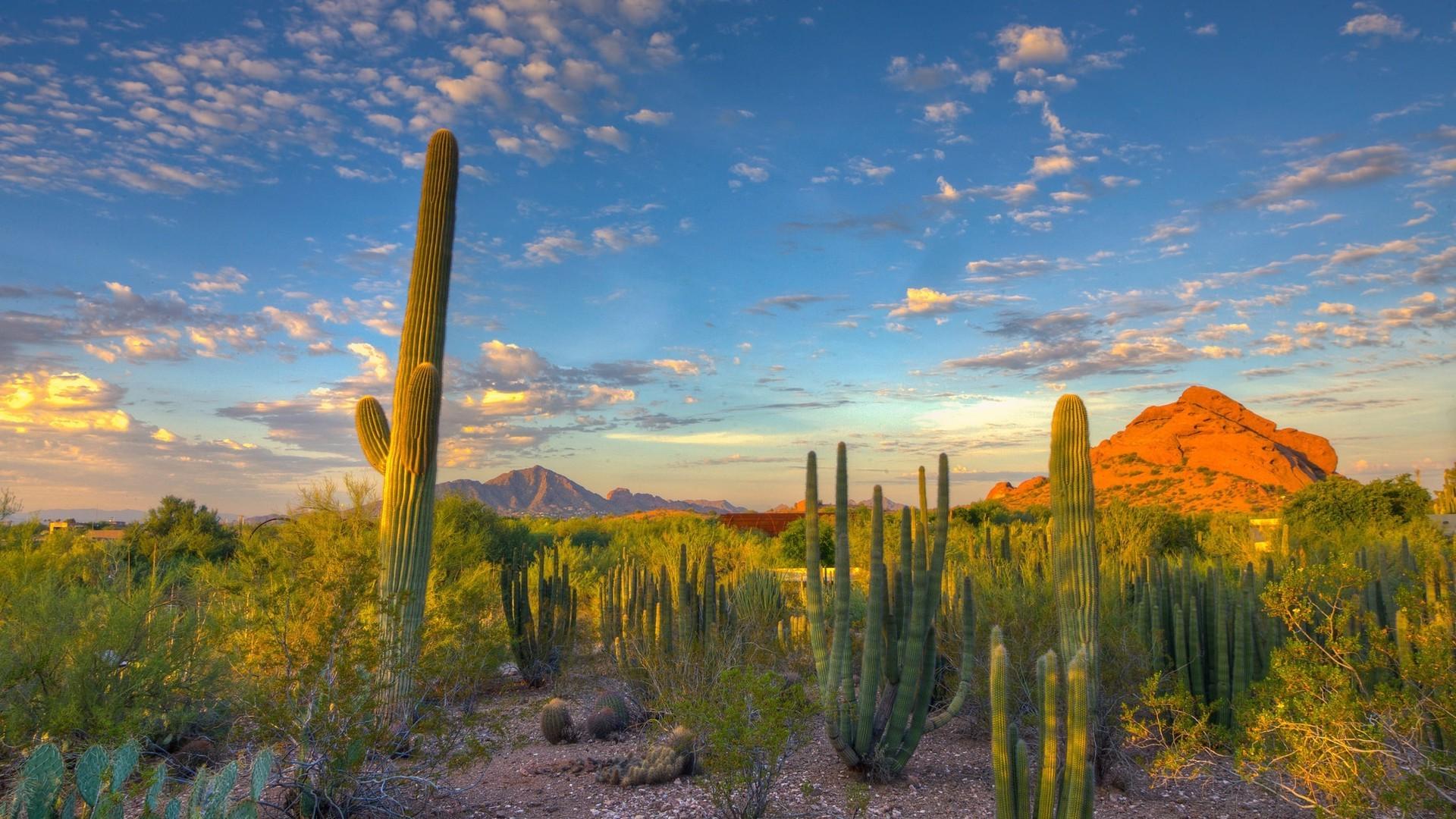 1920x1080 Arizona Desert Wallpaper