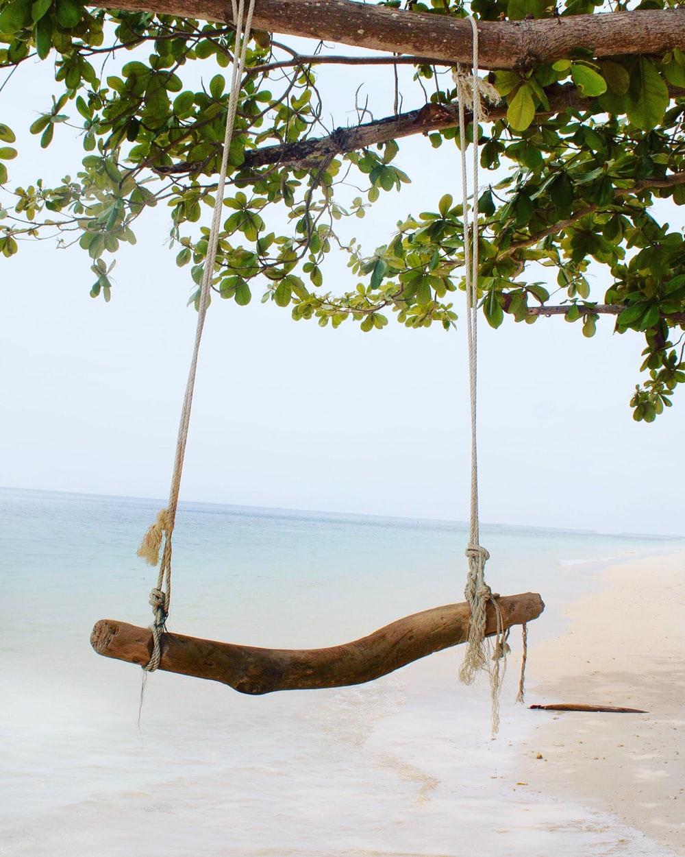 1000x1250 Beach Swing Picture. Download Free Image