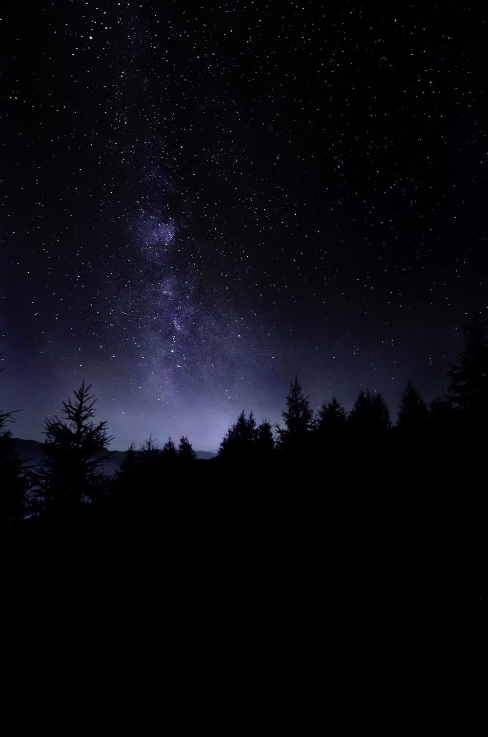 1000x1510 Dream Night Picture. Download Free Image