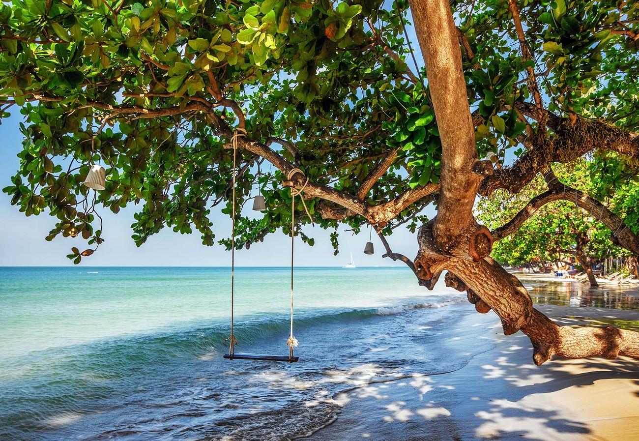 1300x897 Tropical Island Beach Swing Wall Paper Mural. Buy at