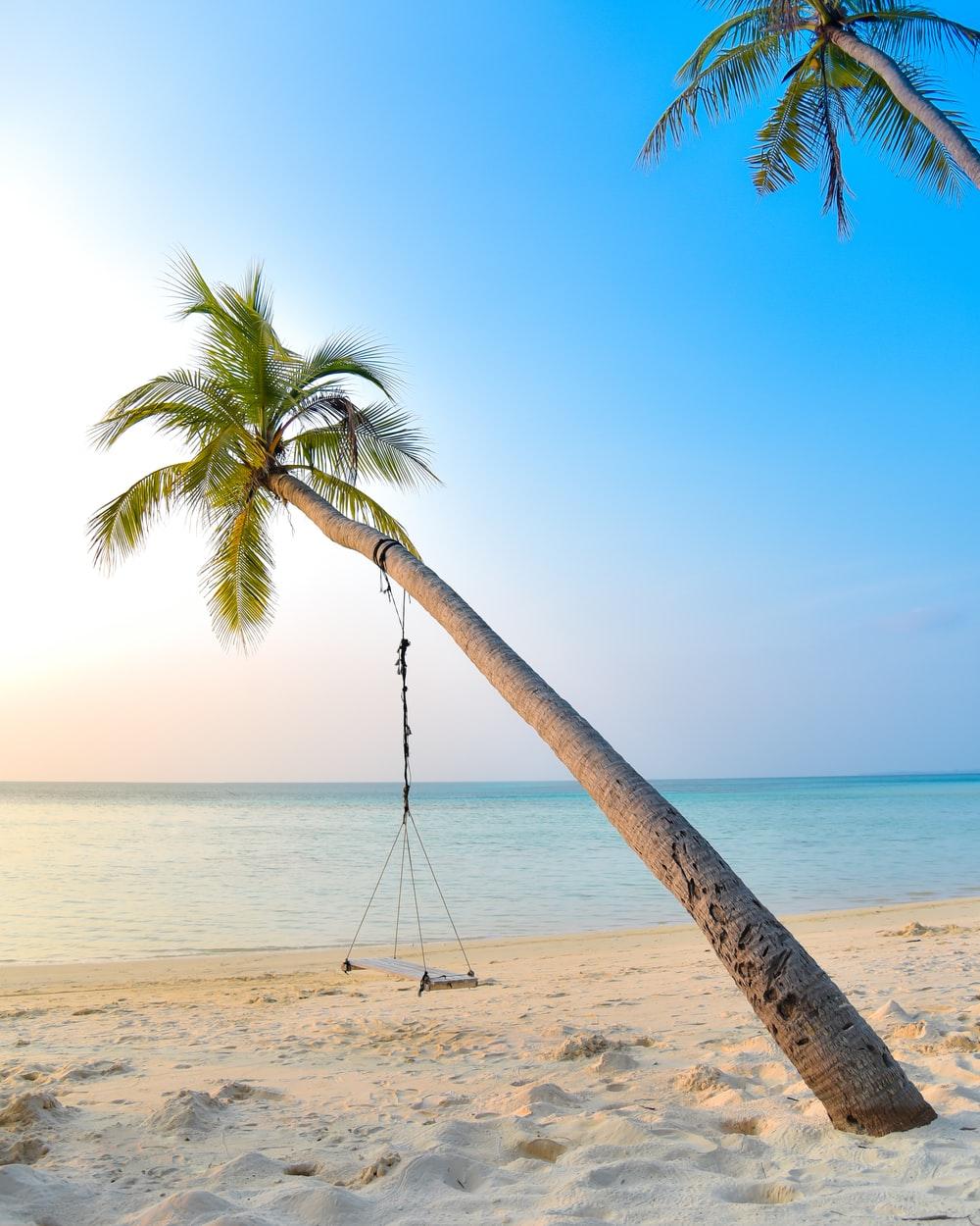 1000x1250 Beach Swing Picture. Download Free Image