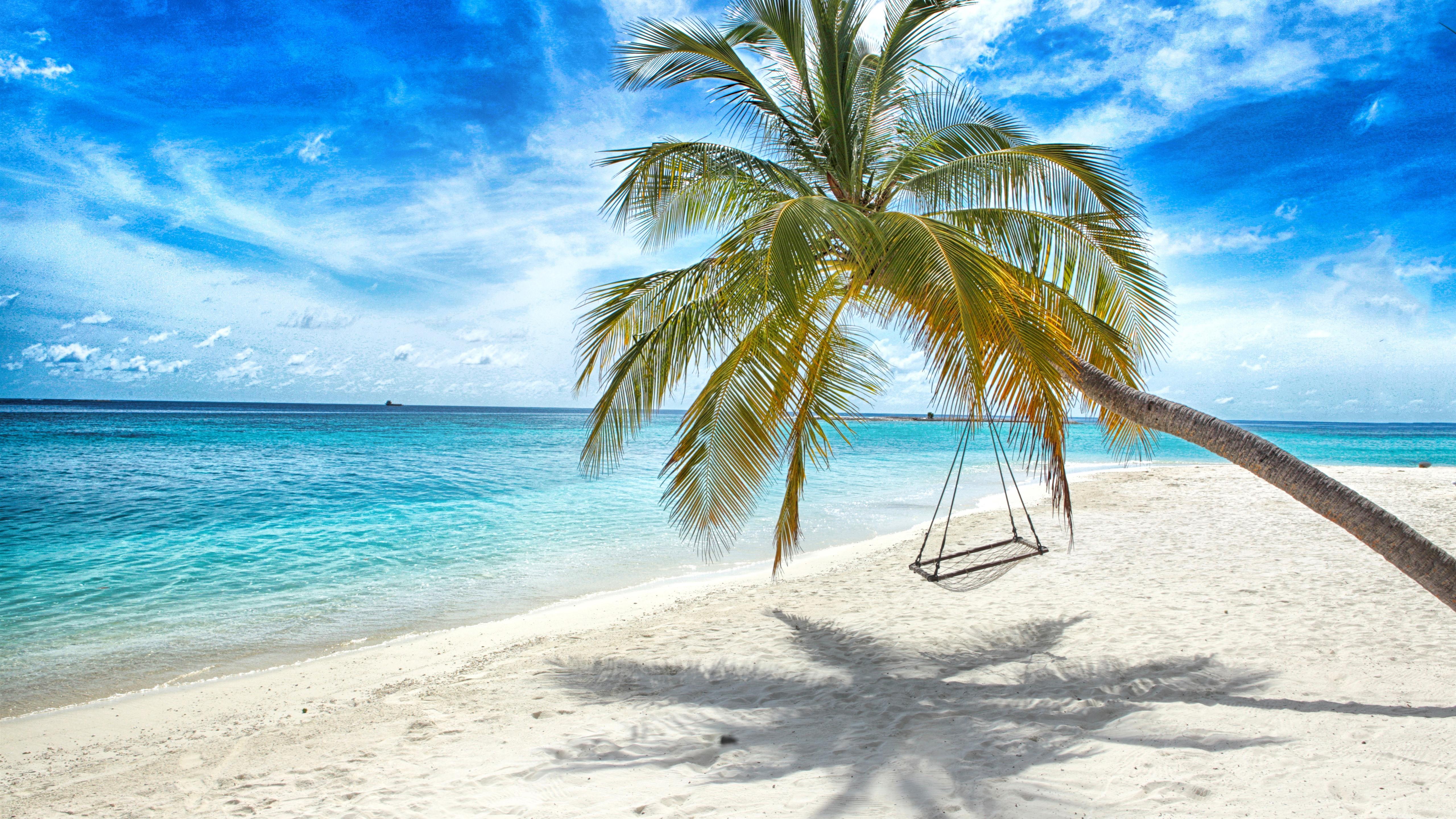 5120x2880 Wallpaper Lonely palm tree, swing, beach, sea 5120x2880 UHD 5K Picture, Image