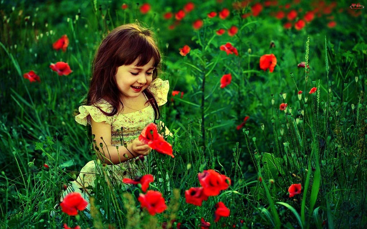 1280x800 Free download Cute Baby Girl With Red Flowers HD Wallpaper Cute Little Babies [1280x800] for your Desktop, Mobile & Tablet. Explore Cute Baby Girl Wallpaper. Image Of Cute Wallpaper
