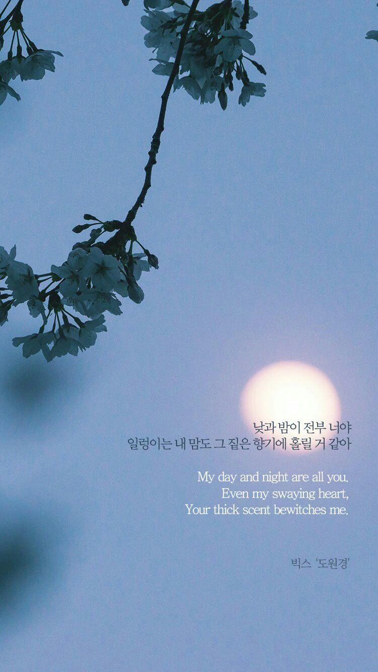 750x1334 Shangri La' (동원경) (빅스) Wallpaper (By 1theK). Kutipan Lirik, Lirik, Lirik Lagu