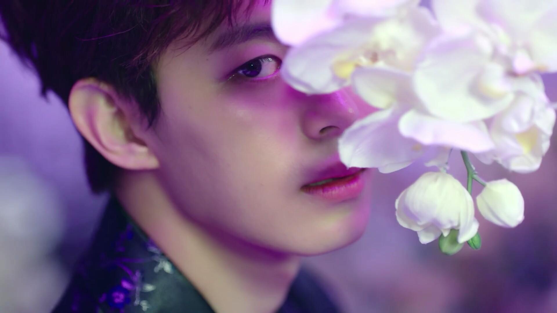 1920x1080 Shangri La