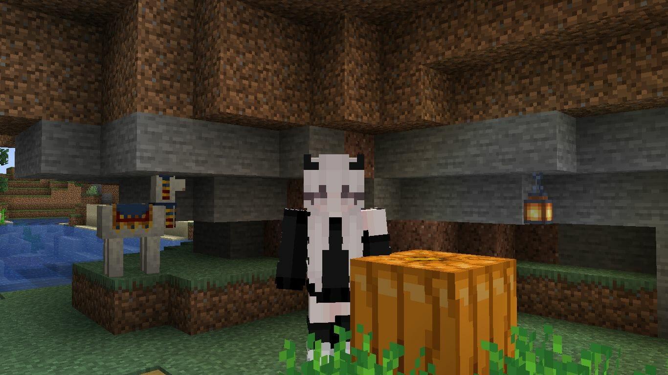 1366x768 Girl Skin the Best Female Look in Minecraft!