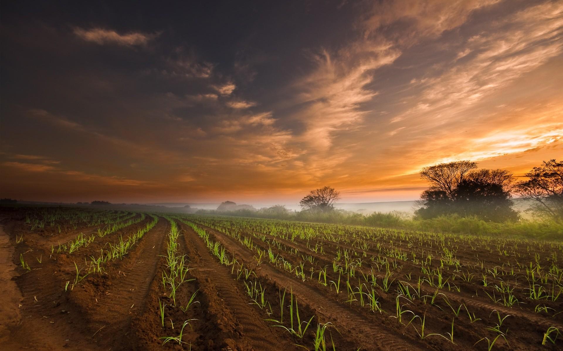 1920x1200 Farming Wallpaper HD