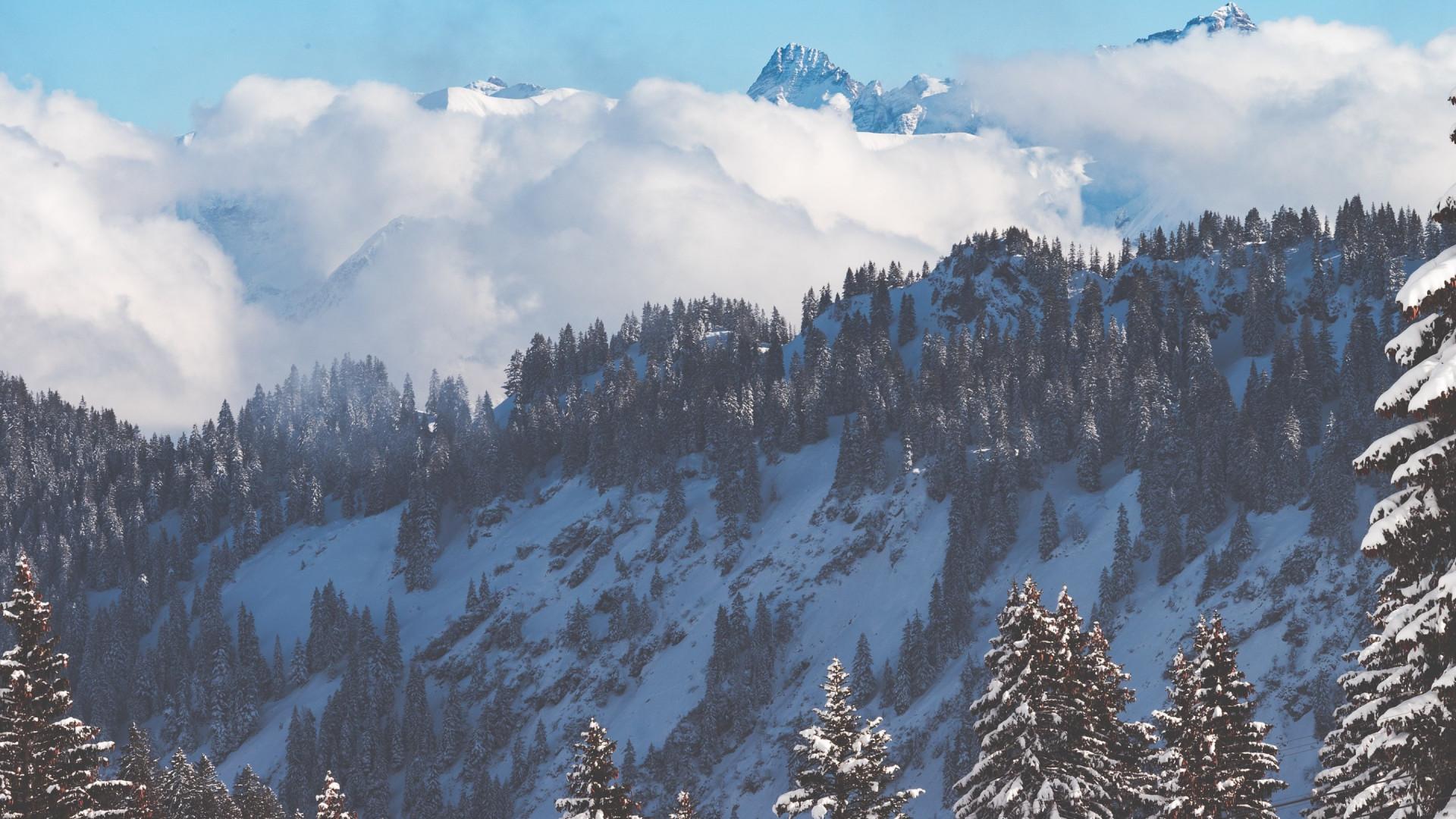 1920x1080 Download wallpaper: All covered with snow, landscape, nature 1920x1080
