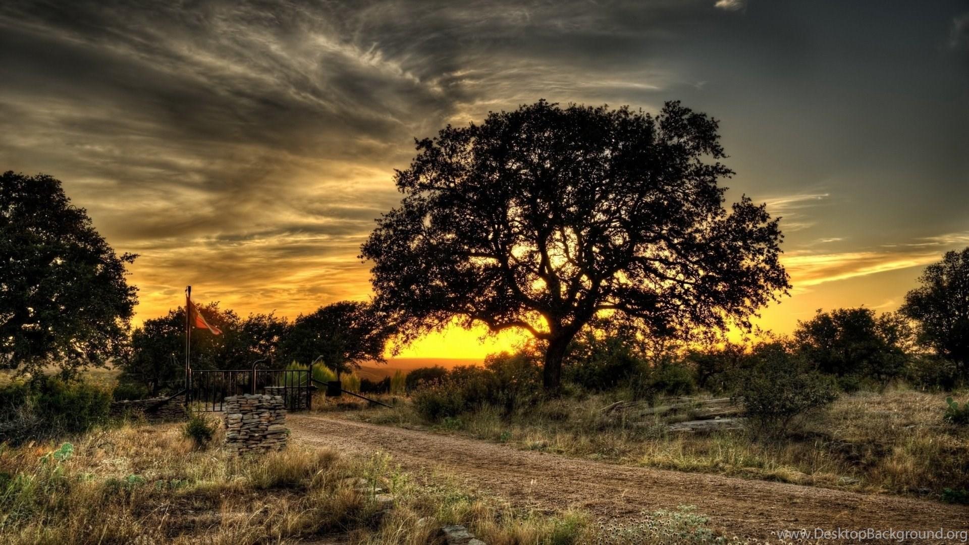 1920x1080 Farm Gate Trees Path Sunset Desktop PC And Mac Wallpaper Desktop Background