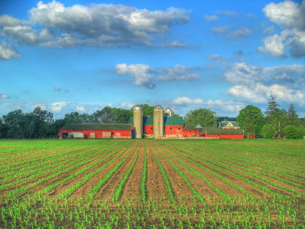 1024x768 Farm wallpaper 1024x768 desktop background