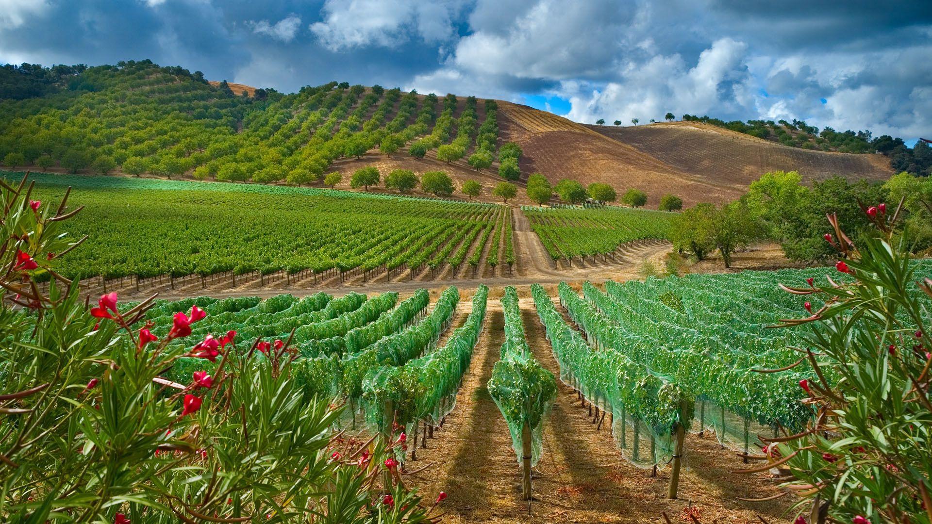 1920x1080 Wallpaper Farm