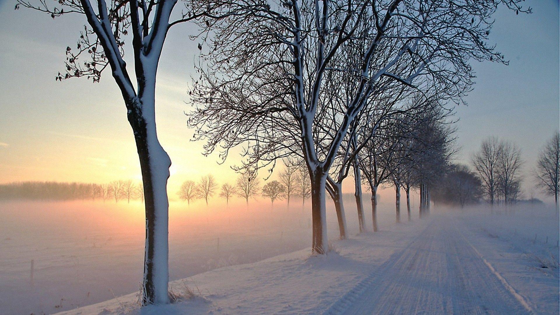 Snow Nature 1920X1080 Wallpapers - Top Free Snow Nature 1920X1080 ...